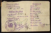 Bilet de identitate , Arbore , Bucovina ,1941 foto