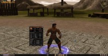 Metin2ro Mental 74 foto