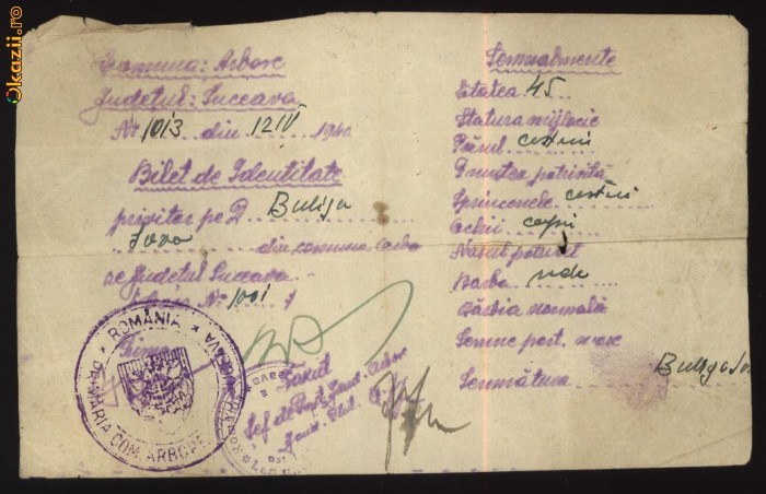 Bilet de identitate , Arbore , Bucovina ,1941 foto mare