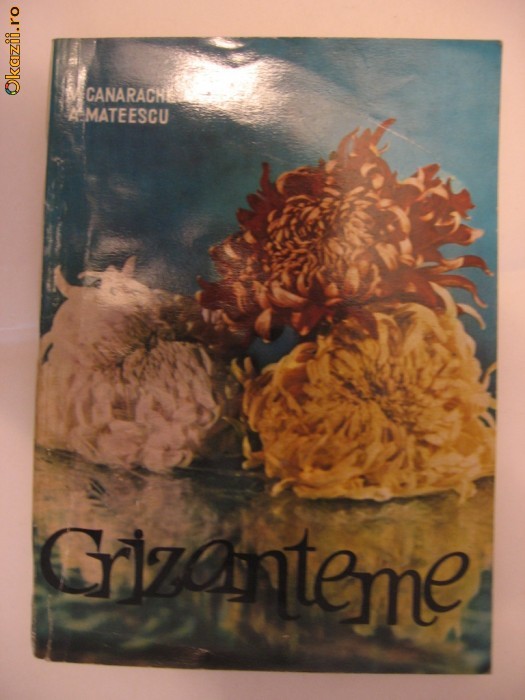 V. CANARACHE, A. MATEESCU - CRIZANTEME foto mare