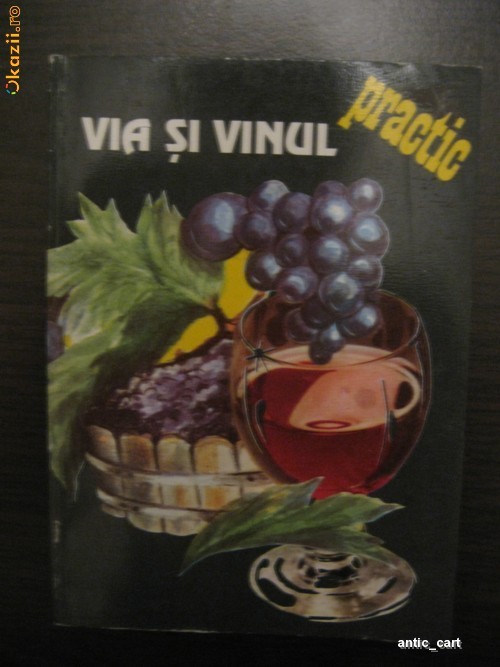 VIA SI VINUL - AVRAM TUDOSIE, LAURENTIU TUDOSIE foto mare