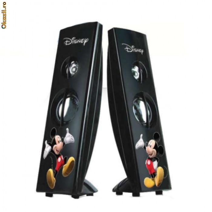 Boxe Mickey foto mare