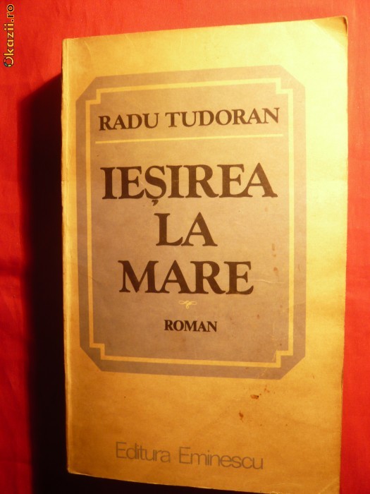 RADU TUDORAN - IESIREA LA MARE foto mare
